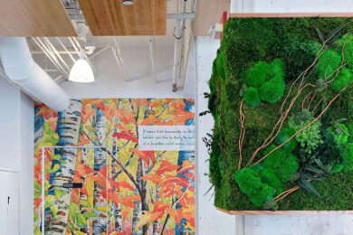 Biophilic Design In Operations & Existing Buildings