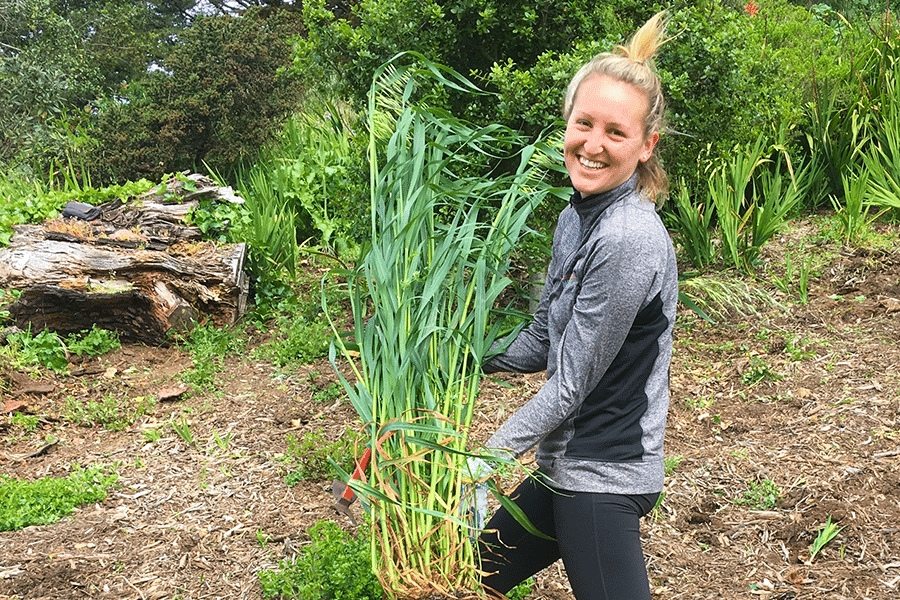 katie-volunteering